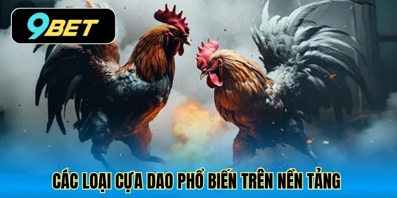 Các loại cựa dao phổ biến trên nền tảng