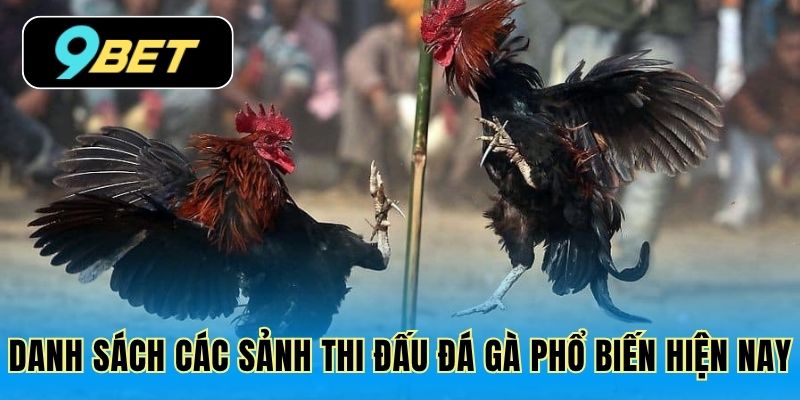 Danh sách các sảnh thi đấu đá gà phổ biến hiện nay