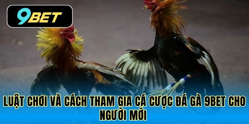 Luật chơi và cách tham gia cá cược đá gà 9Bet cho người mới 