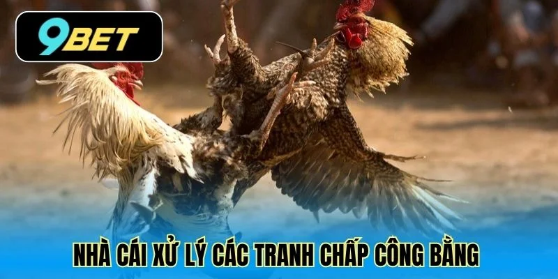 Nhà cái xử lý các tranh chấp công bằng