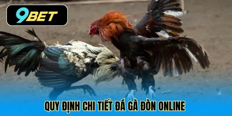 Quy định chi tiết đá gà đòn online