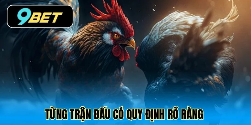 Từng trận đấu có quy định rõ ràng
